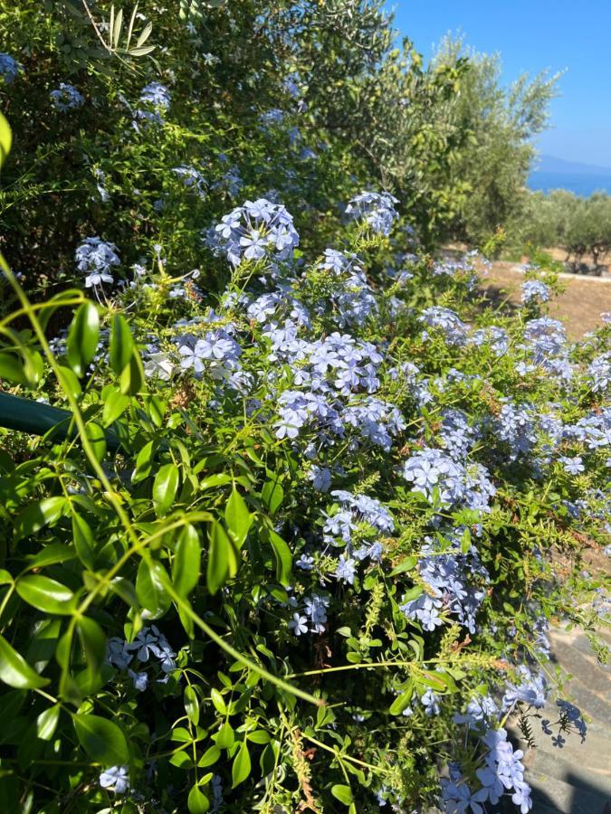 Villa Pefnos Agios Nikolaos  Eksteriør bilde