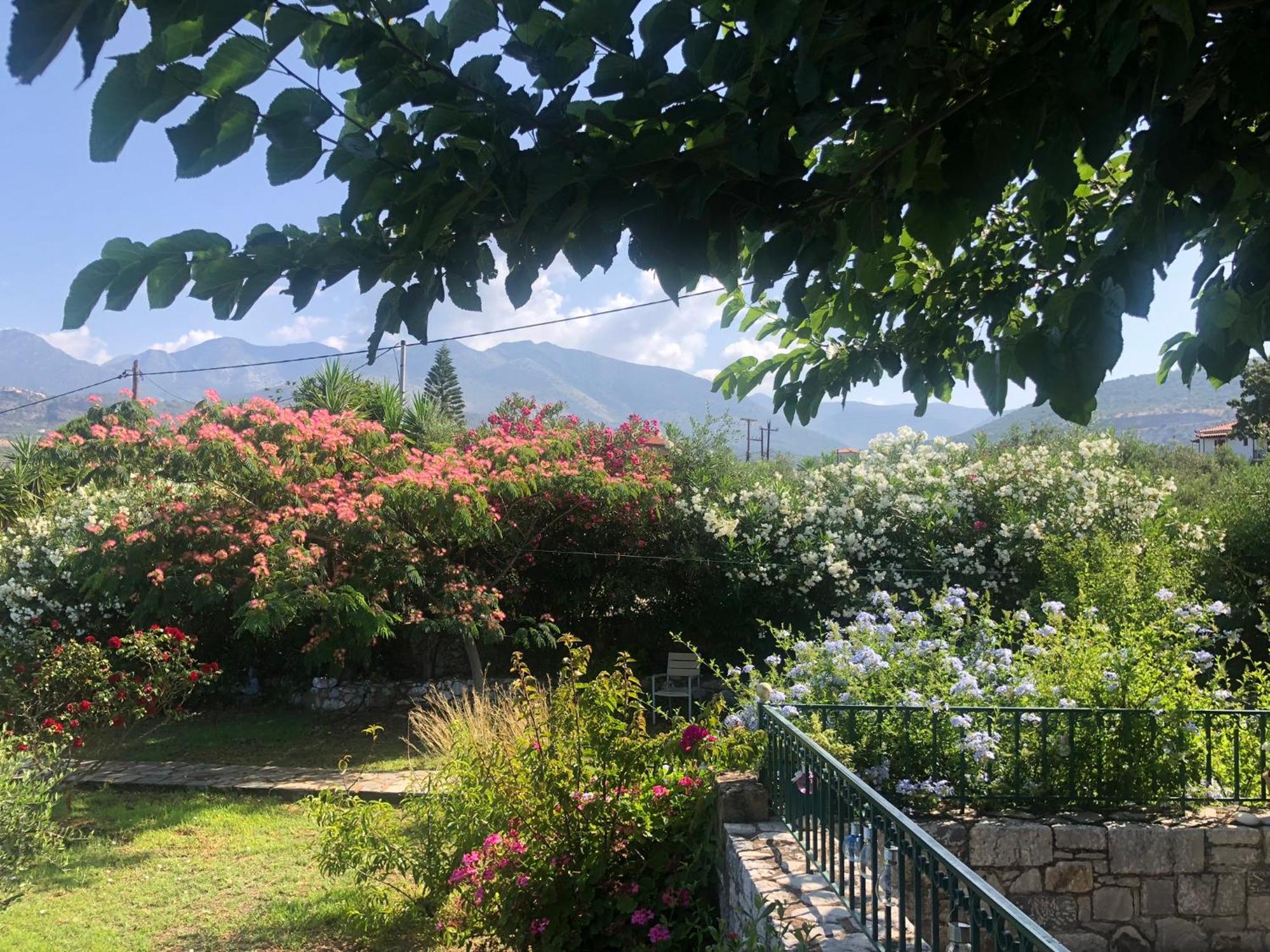 Villa Pefnos Agios Nikolaos  Eksteriør bilde